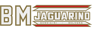 BM Jaguarino